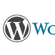 Olark Advanced WordPress Integration